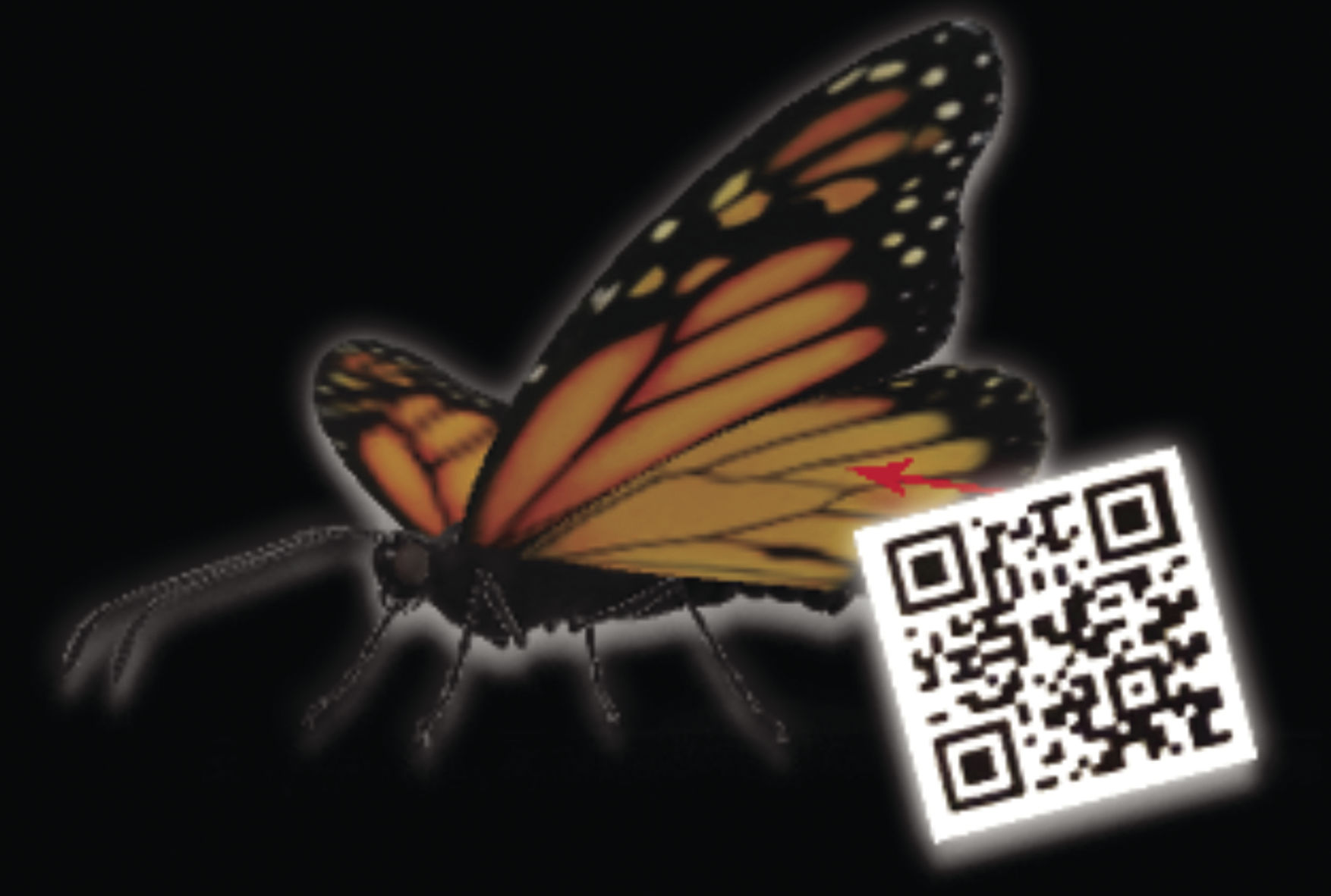 Monarch, QR code, Midwest Drone Racing